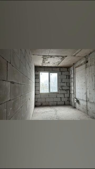 94102835 голденмиллениум