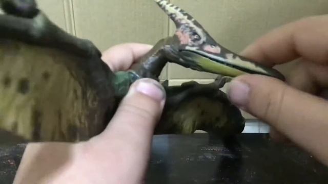Jurassic Park III Amber Collection Pteranodon Toy Review