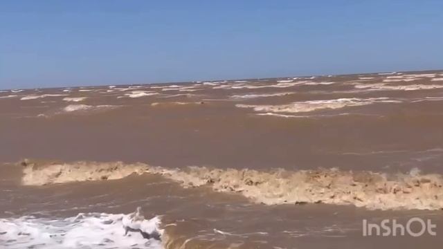 мотоцикл хонда валькирия,покатушки