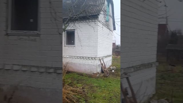 ДАЧА В СНТ ЛЮБЛИНО - ОСЕНЬ