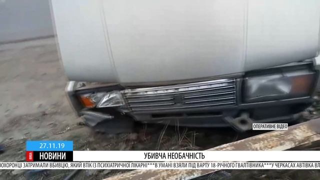Авто – у відбійник: черкаський водій на смерть збив косулю