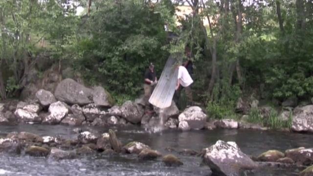 Nivan kunnostustalkoot 2010
