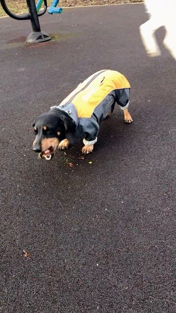 ПАЛОЧКА ВКУСНЯШЕЧКА