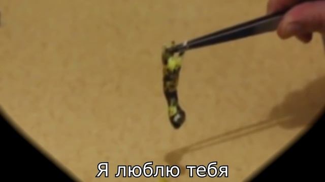 Сап двач я ламповый гомункул! Сап двач (Ламповый гомункул)