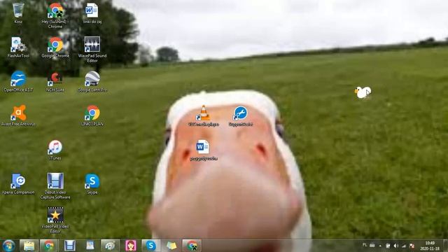 Goose on my desktop.
