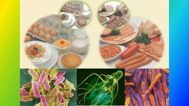 Ăn uống hợp lý trong kỳ nghỉ lễ