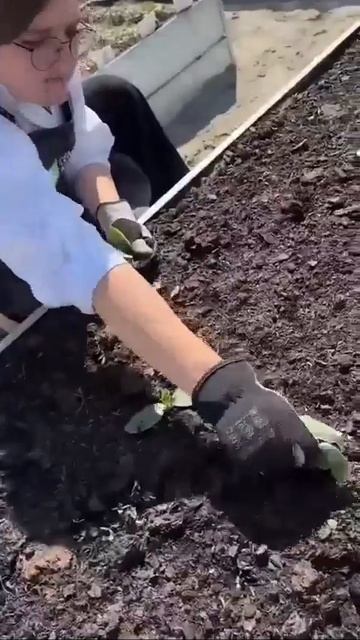 не жалеете
