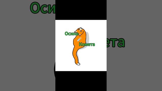 аудиокнига Осиной Кометы!!✨🍄
( из моей истории )
С 1 - 10 главы✨🌿