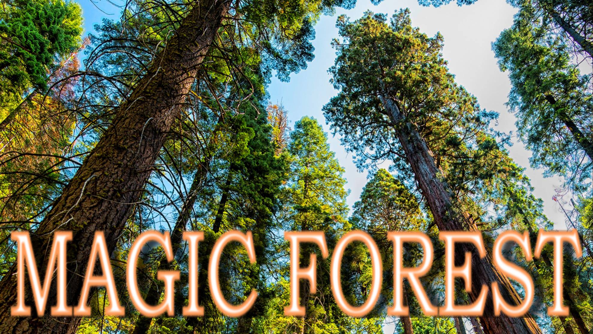 Magic Forest - Inka Kristian ( The son of the sun )    author : Christian Renato Lingán Quispe
