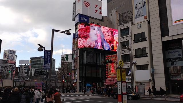 Shinjuku cat — гигантская кошка на Синдзюку в Токио