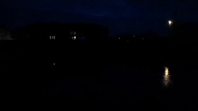 Лягушачья трель