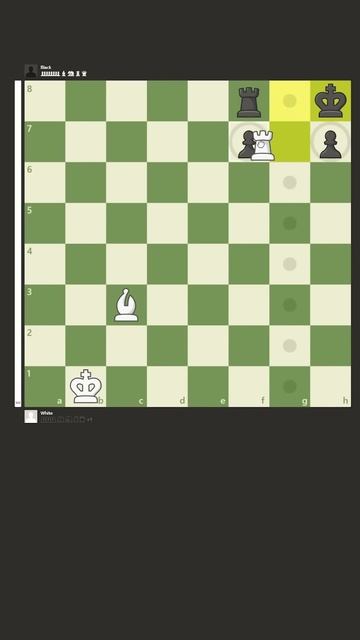 Morphy’s Checkmate Chess Endgame