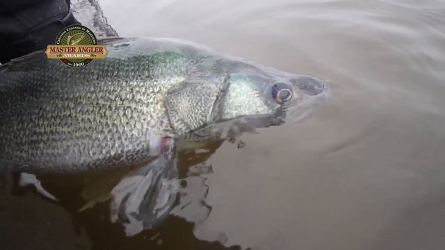 How To: Manitoba's Master Angler Program