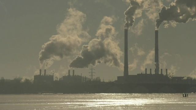 Сколько денег жители Воронежской области потратили на платные услуги в прошлом году?