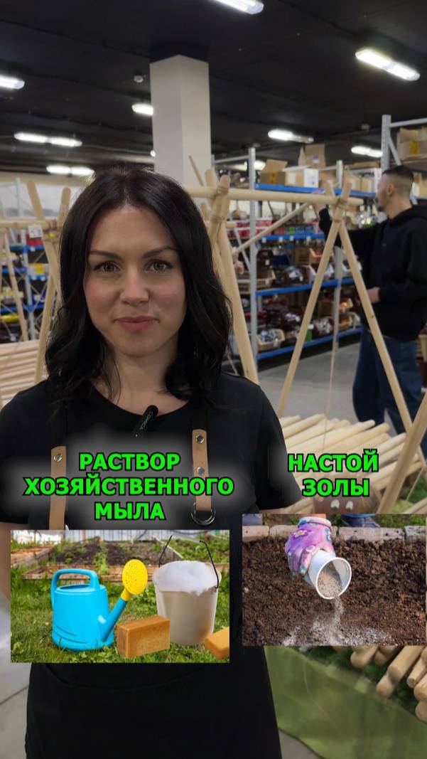 Каким органическим средством обрабатывать растения весной?