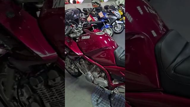 YAMAHA XJ900S (1999) , 42300кМа, красный