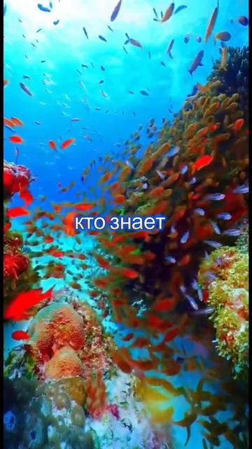 Не предаст тот#цитаты