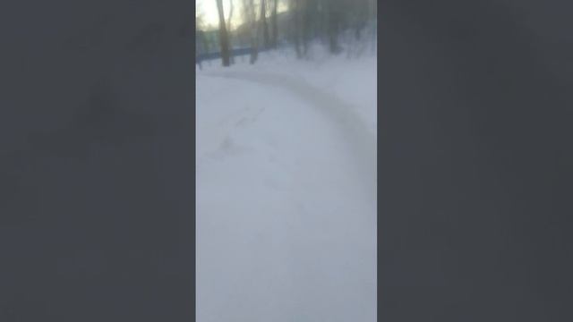 VID-20250207-WA0021