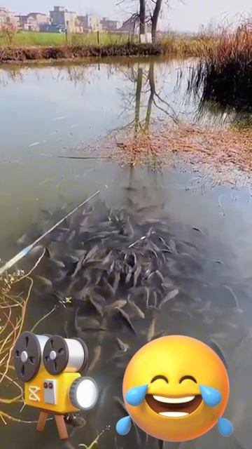 Невезуха.