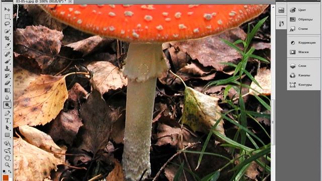 Инструмент Осветлитель в Фотошоп. Уроки Photoshop.