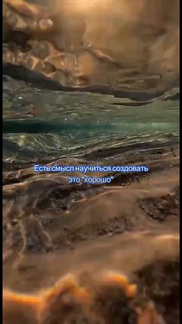 Нет смысла#цитаты