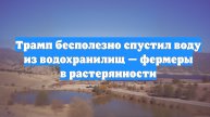 Трамп бесполезно спустил воду из водохранилищ — фермеры в растерянности