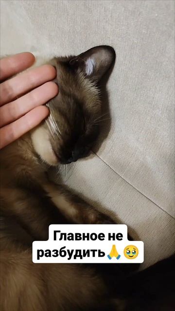 Главное не разбудить 🙏🥹