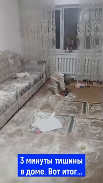 ОДИН РЕБЁНОК В ДОМЕ — ЭТО БАНДИТ, ДВА — ОРГАНИЗОВАННАЯ ГРУППИРОВКА. КОШКА — ДИВЕРСАНТ