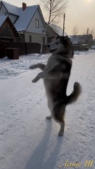 1000028056.mp4