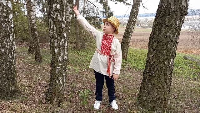 Буцько Дзімтрый - "Да апошняй бярозкі" Я. Жабко