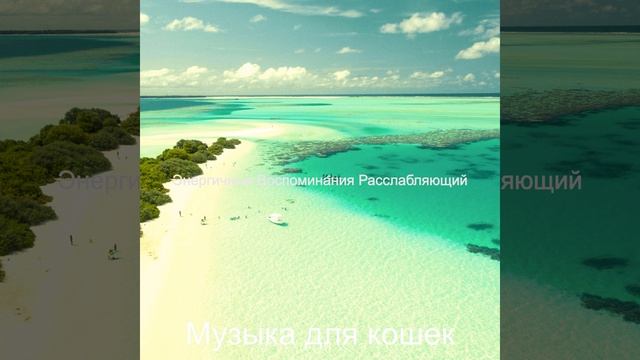Атмосфера - Учтивый
