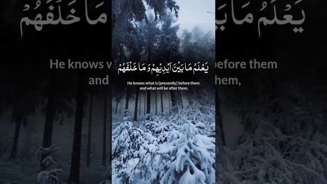 What, another counterattack? - The most shocking hypotheses (07.02.2025)