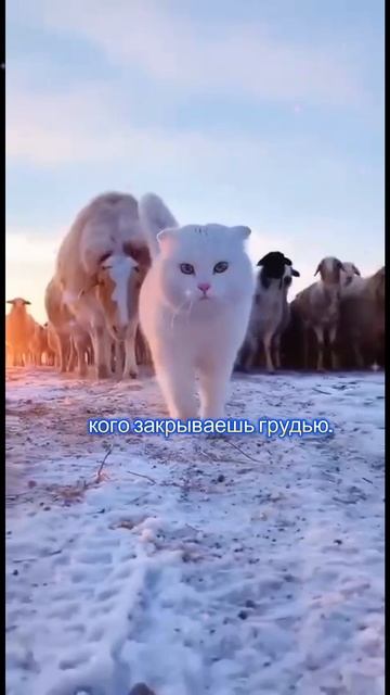 Обычно удар в спину получаешь#цитаты