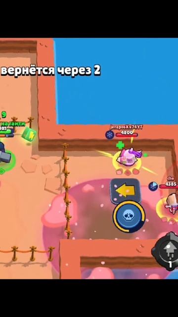 1000020957.mp4
