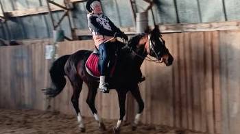 Юля и Флейта галоп. #horse #equestrian #лошади #pony