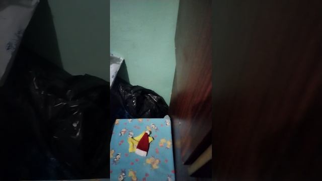 Что уминя появилось на продажу за февраль 2025 года