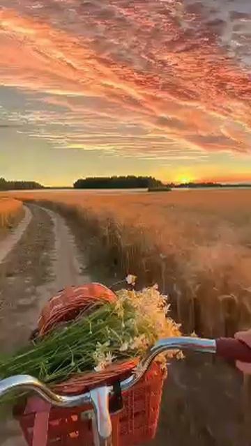 Clip_By_Countrylifestyle6.mp4