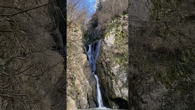 Эглет поездка в Сочи