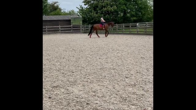 Advanced Medium freestyle practice at home