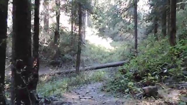 Dagri Bangla - Galiyat - Khyber Pakhtunkhwa (KPK) - Oct 2016
