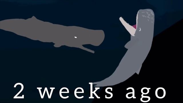 Evolution of Livyatan vs Sperm Whale