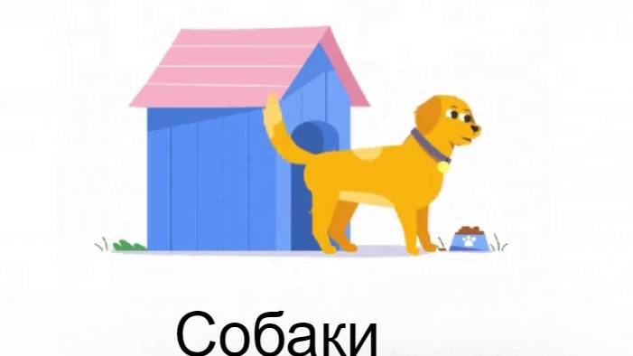 Топ 10 фактов про собак