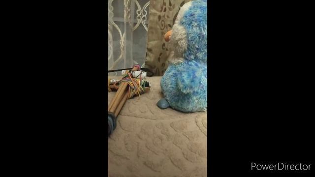 Убийство пингвина
