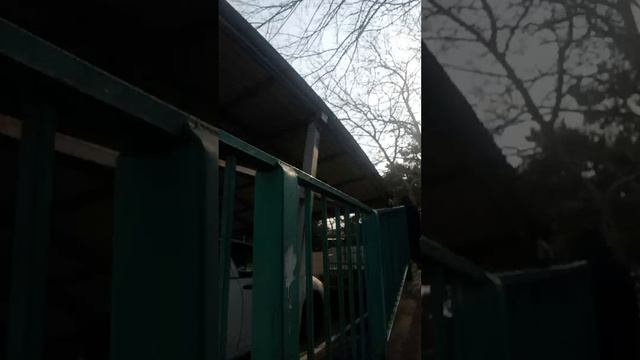первое моё видео с музыкой