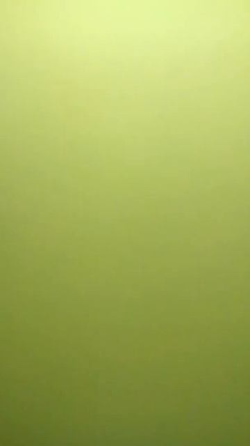 👺 Неизвестный Gummy bear на  Канале М4