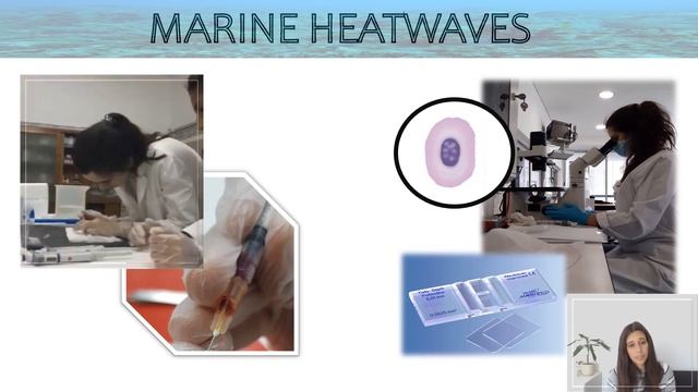 The impacts of a changing ocean on sharks by Dr. Maria Rita Pegado