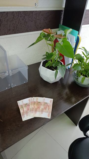 НОВЫЙ ЗАКАЗ КОЛОДЕЦ БАНГЛАДЕШ