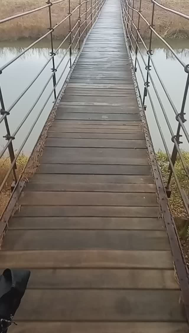 По дороге на рыбалку через подвесной мост.