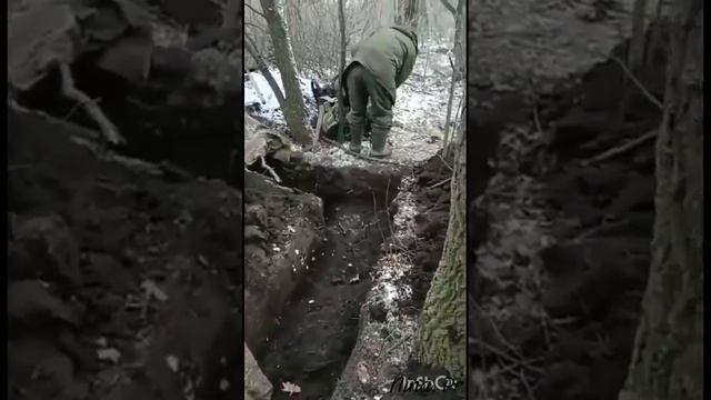 Мне бы быть звездой.