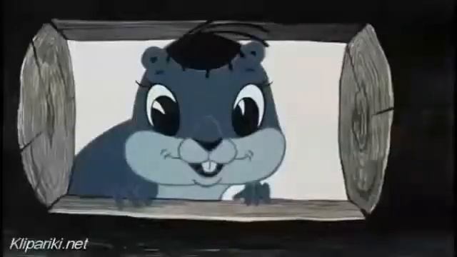 Мы хомячим